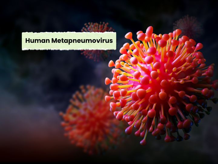 Human Metapneumovirus